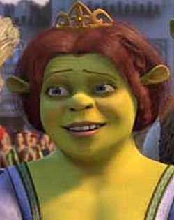 Detail Pics Of Shrek And Fiona Nomer 6