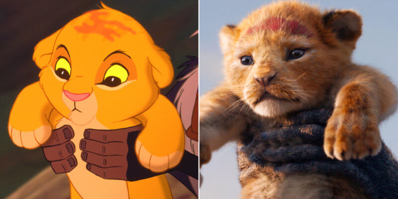 Detail Pics Of Simba From The Lion King Nomer 25