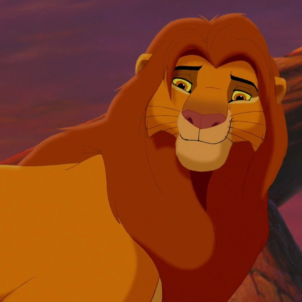 Detail Pics Of Simba From The Lion King Nomer 4