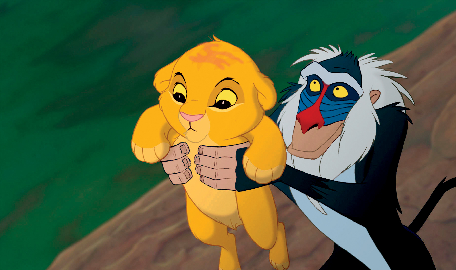 Detail Pics Of Simba From The Lion King Nomer 35