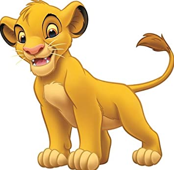 Detail Pics Of Simba From The Lion King Nomer 10