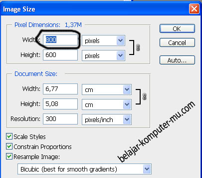 Detail Membesar Kecilkan Gambar Di Photoshop Cs 6 Nomer 6