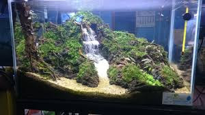 Detail Membuat Air Terjun Aquascape Nomer 33