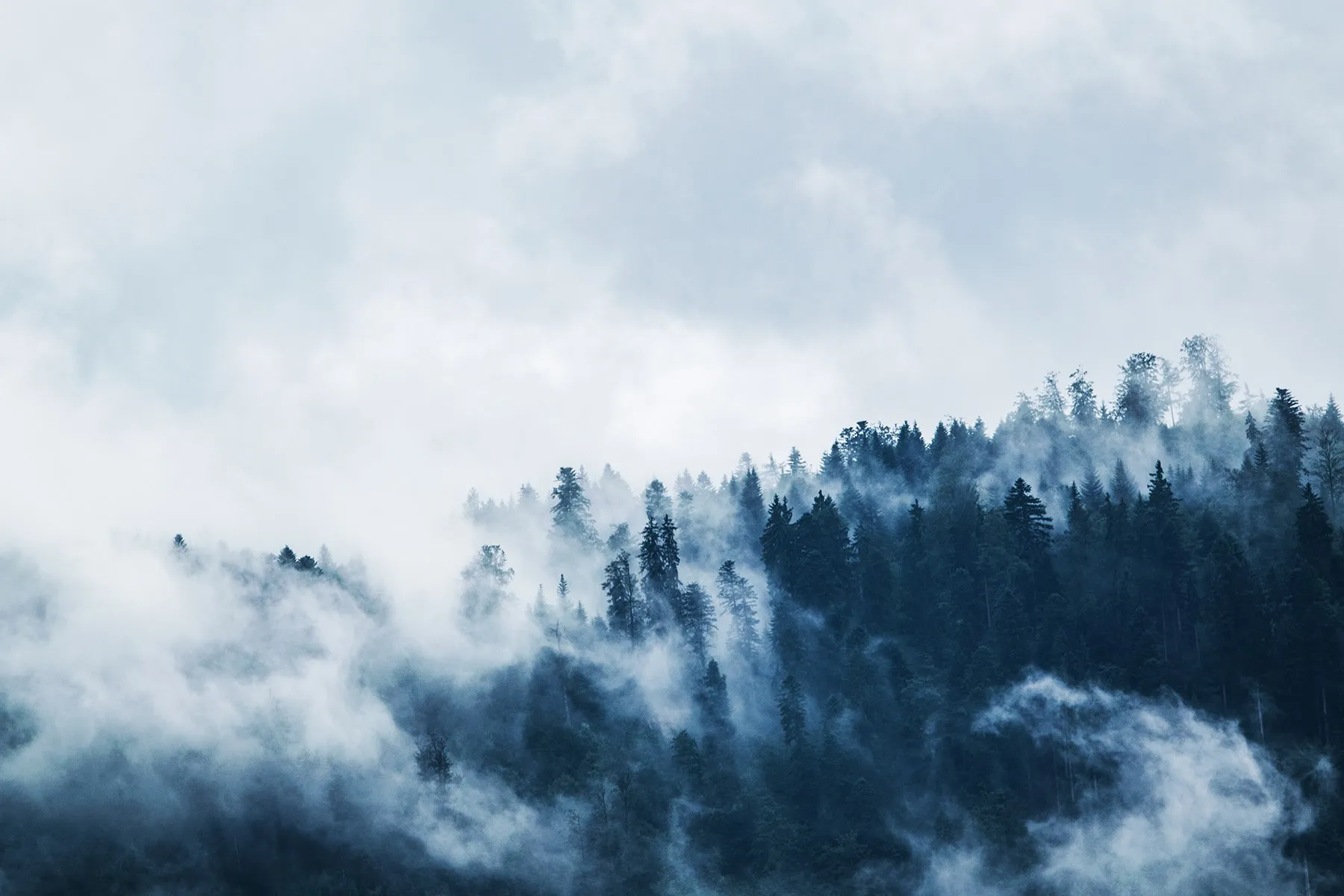 Detail Membuat Background Di Bootstrap Nomer 43