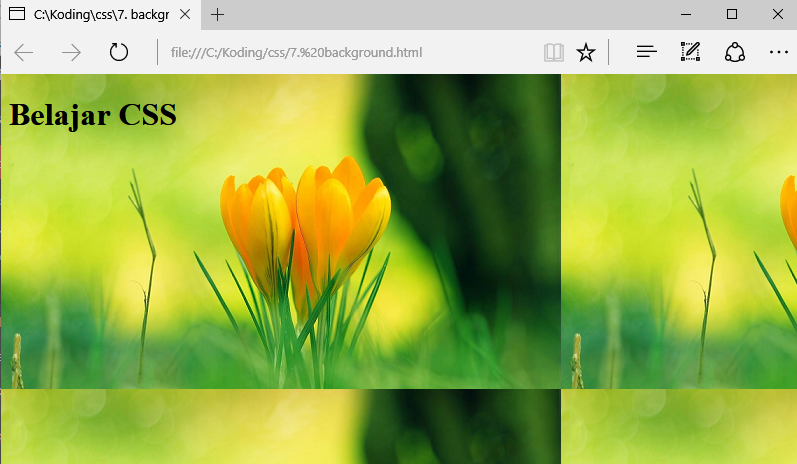 Detail Membuat Background Gambar Di Html Nomer 25