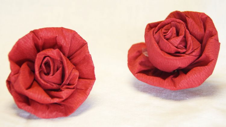 Detail Membuat Bunga Mawar Dari Kertas Krep Nomer 21