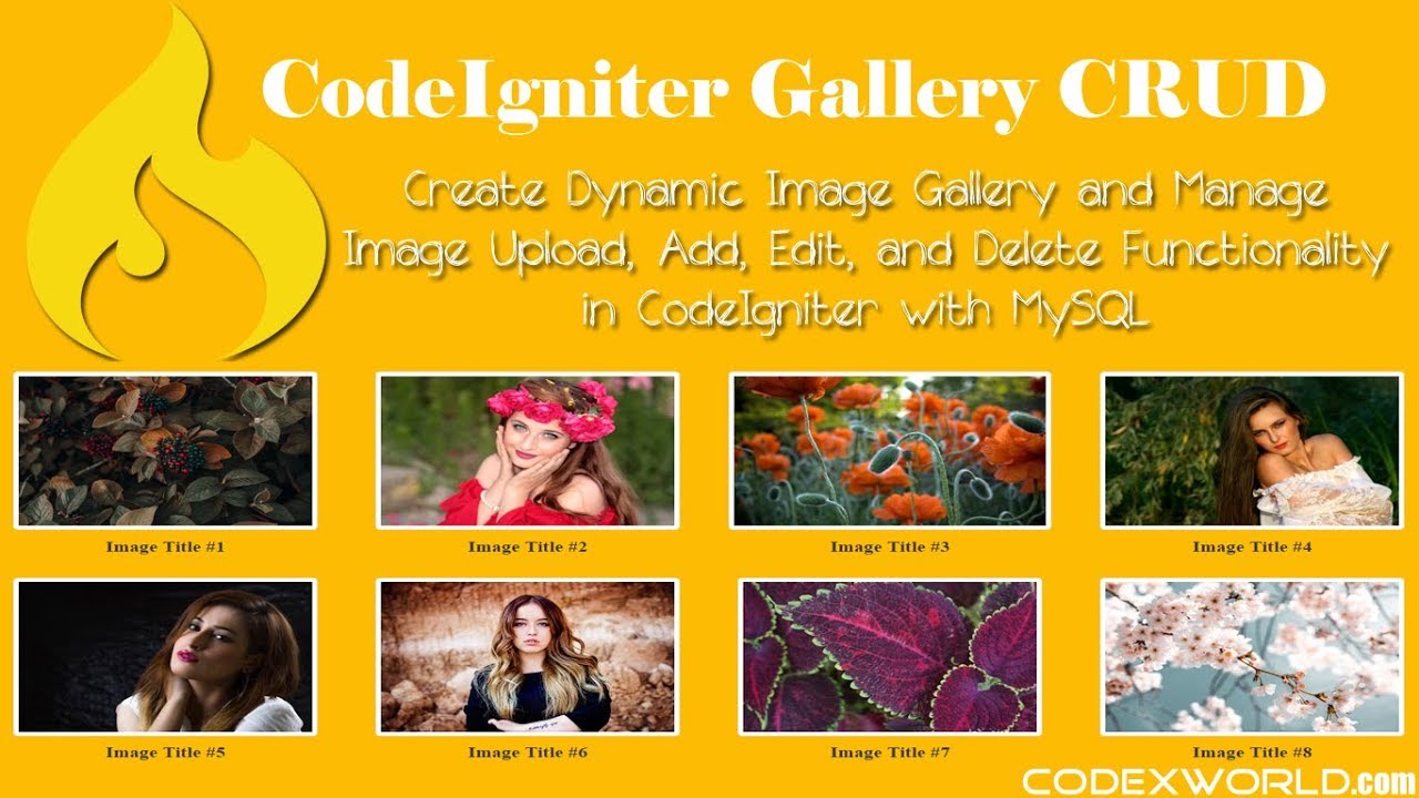 Detail Membuat Galery Gambar Dengan Codeignater Nomer 22