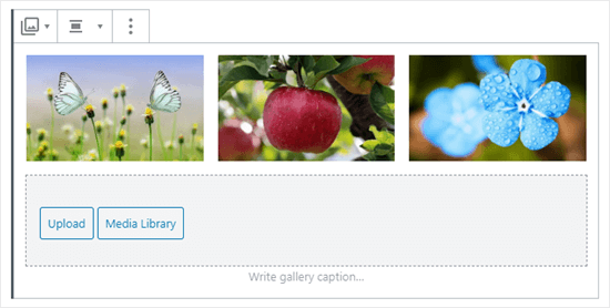 Detail Membuat Gallery Gambar Dengan Codeigniter Nomer 38