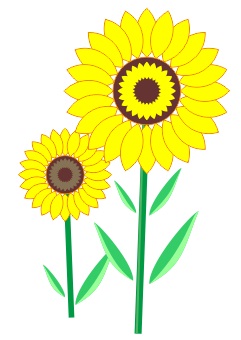 Detail Membuat Gambar Bunga Matahari Nomer 24