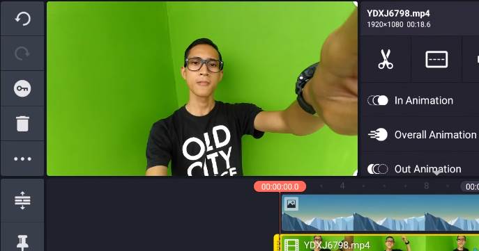 Detail Membuat Green Screen Nomer 18