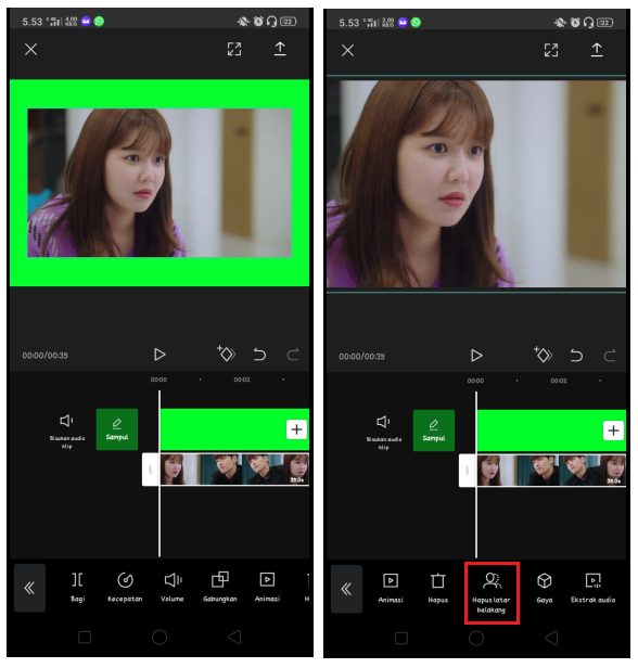Detail Membuat Green Screen Nomer 44