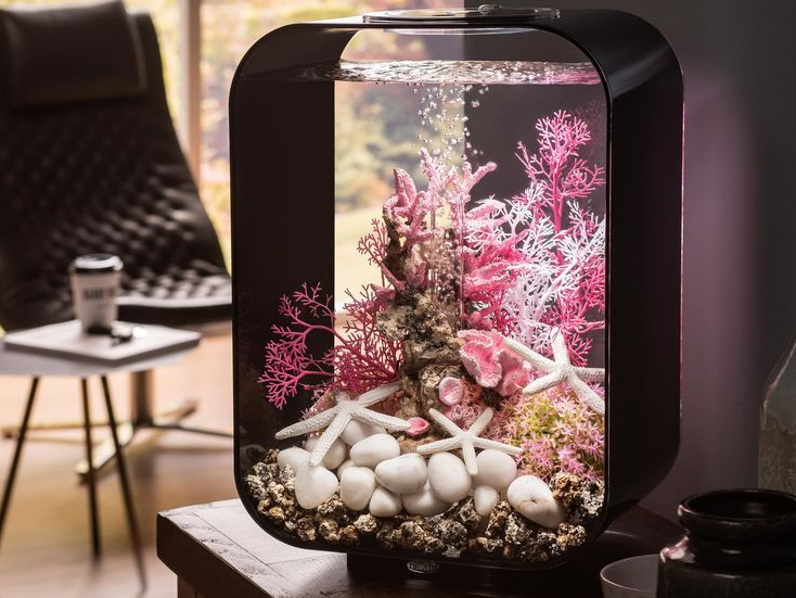 Detail Membuat Hiasan Aquarium Dari Barang Bekas Nomer 28