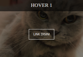 Detail Membuat Hover Gambar Nomer 33