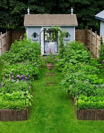 Detail Membuat Kebun Sayur Di Pekarangan Rumah Nomer 9