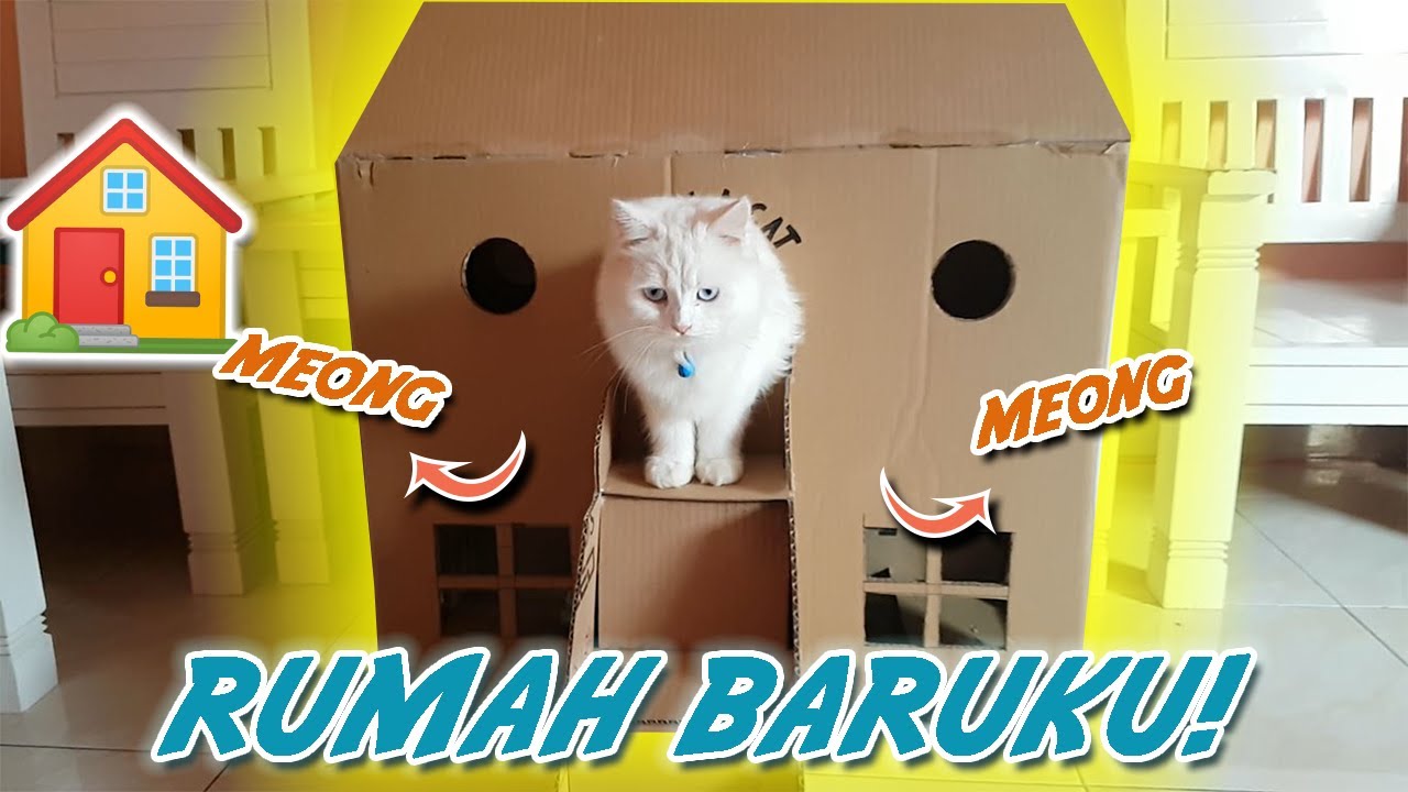 Detail Membuat Rumah Kucing Nomer 25