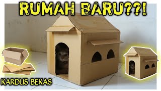 Detail Membuat Rumah Kucing Dari Kardus Nomer 9