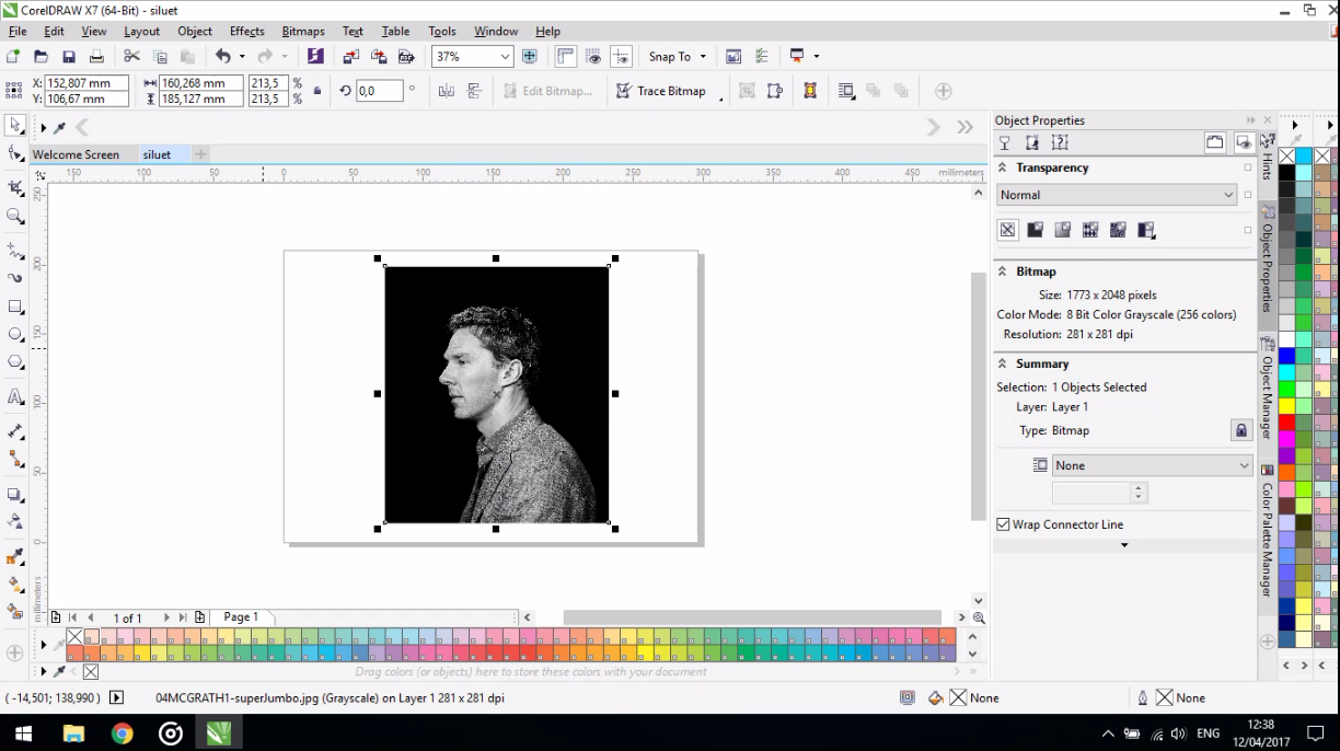 Detail Membuat Siluet Dengan Corel Nomer 25