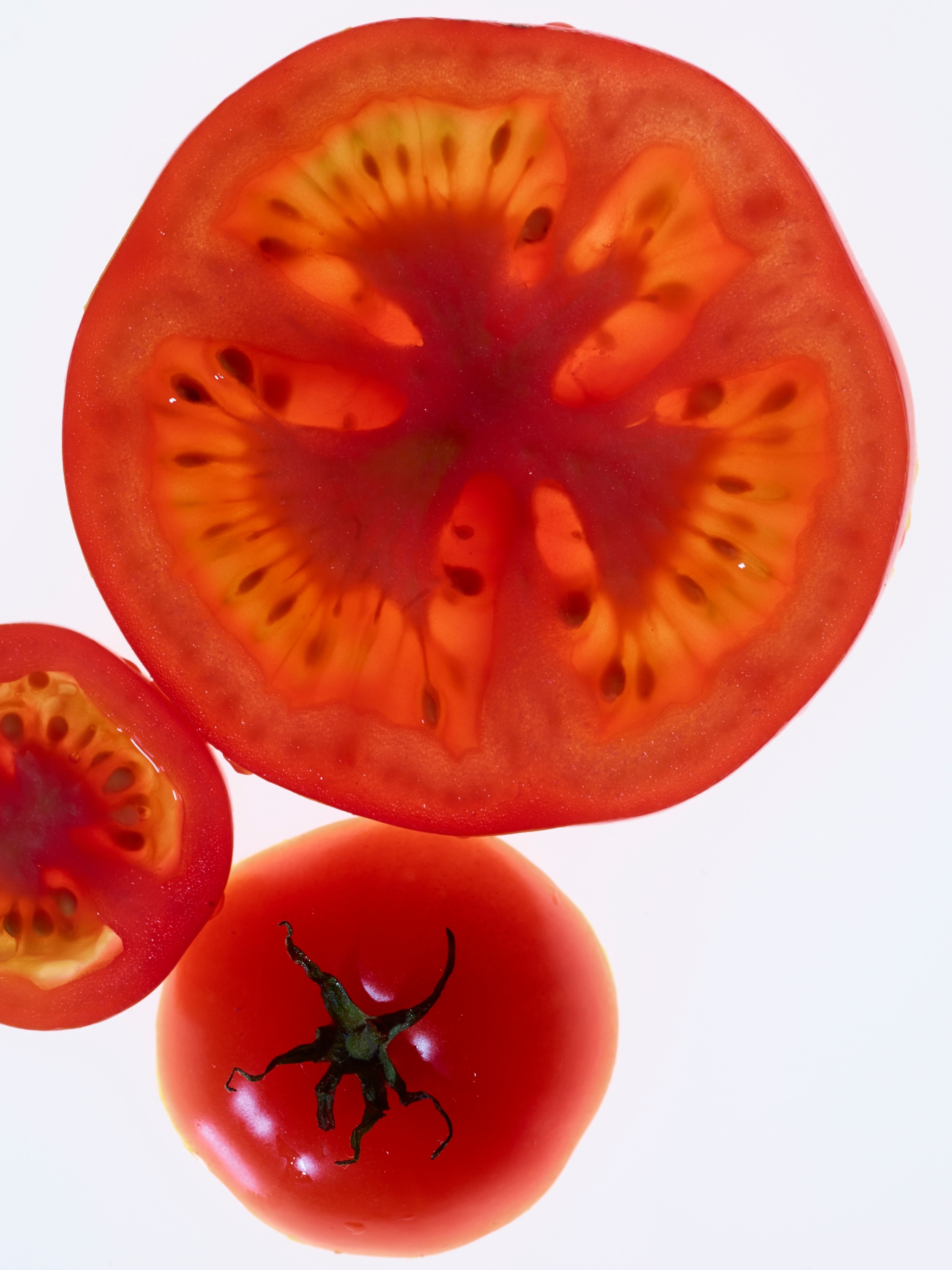 Detail Pics Of Tomato Nomer 50