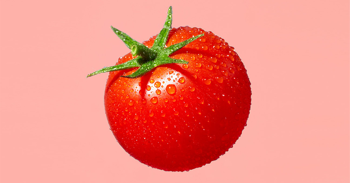 Detail Pics Of Tomato Nomer 57
