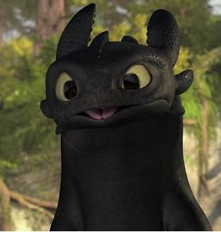 Detail Pics Of Toothless The Dragon Nomer 4
