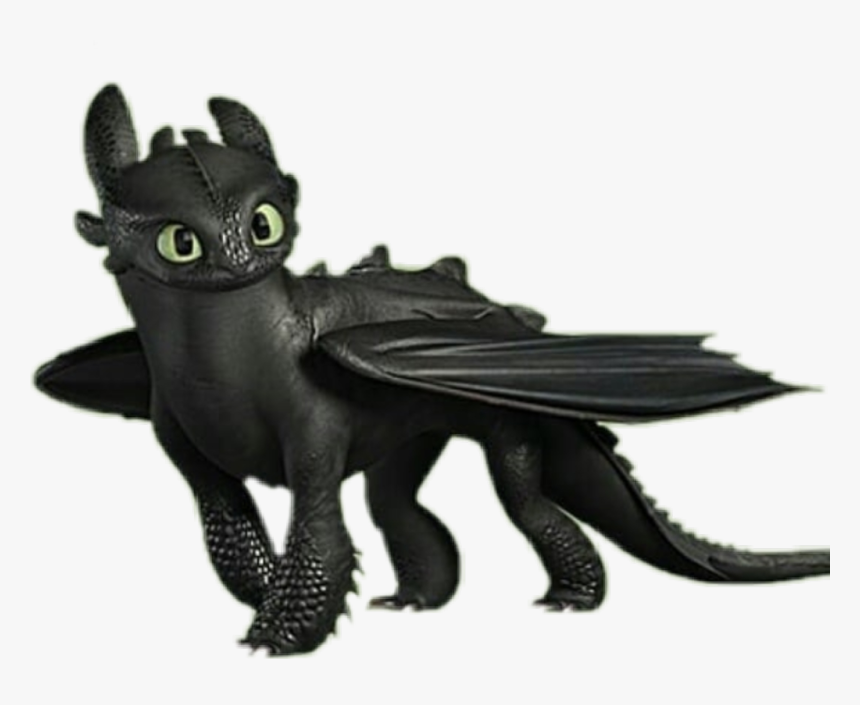 Detail Pics Of Toothless The Dragon Nomer 32