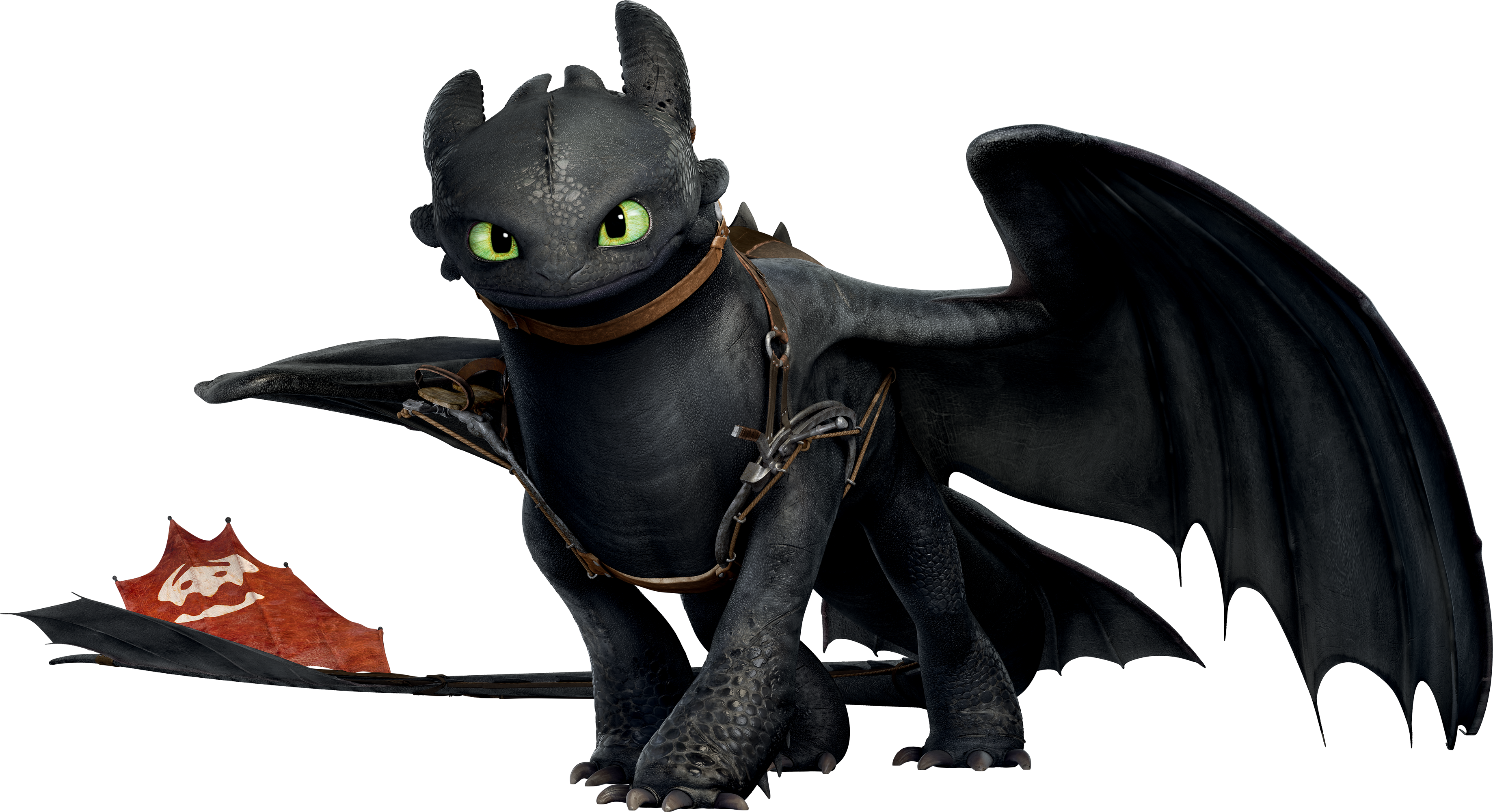 Detail Pics Of Toothless The Dragon Nomer 8
