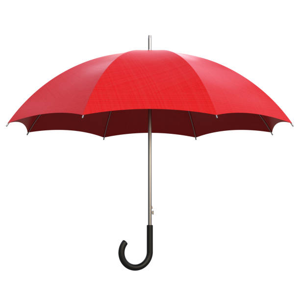 Detail Pics Of Umbrella Nomer 3