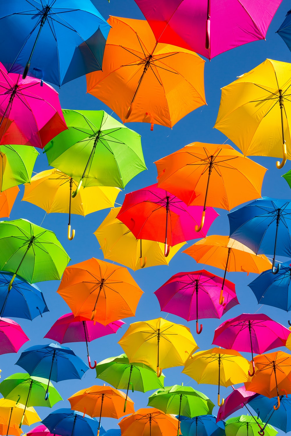 Detail Pics Of Umbrella Nomer 5