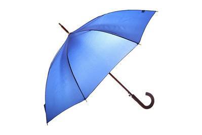 Detail Pics Of Umbrella Nomer 47