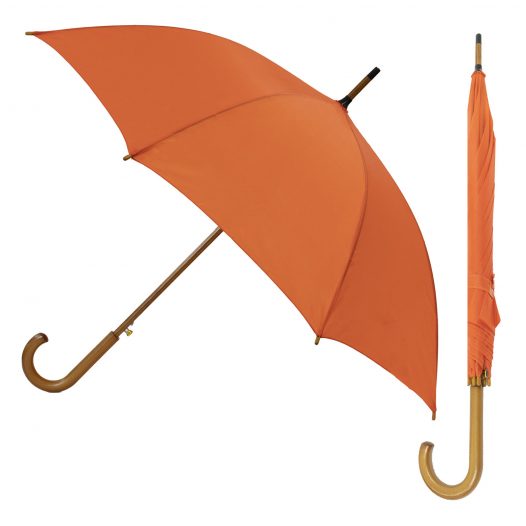 Detail Pics Of Umbrella Nomer 57