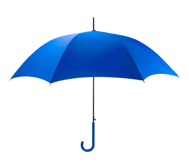 Detail Pics Of Umbrella Nomer 7