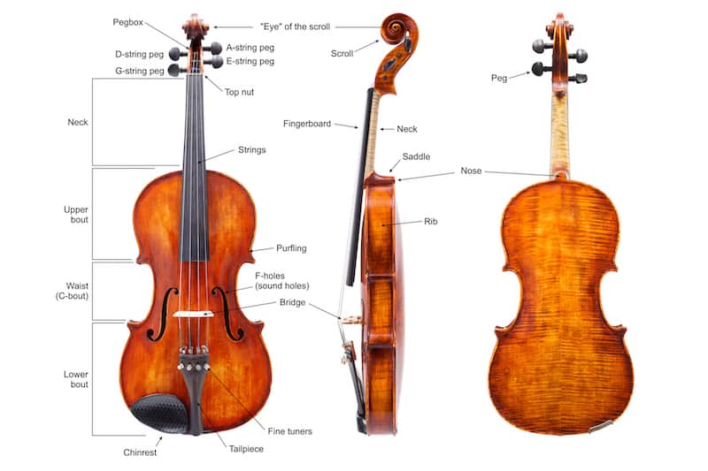 Detail Pics Of Violin Nomer 16