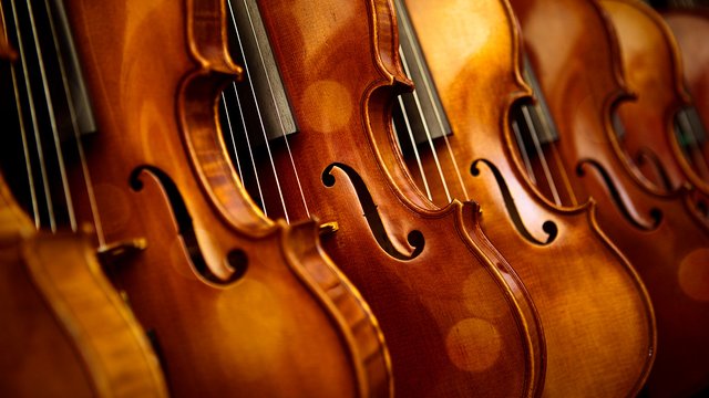 Detail Pics Of Violins Nomer 20