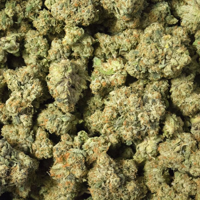 Detail Pics Of Weed Nomer 22