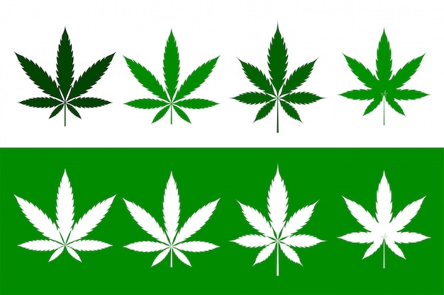 Detail Pics Of Weed Leaves Nomer 24