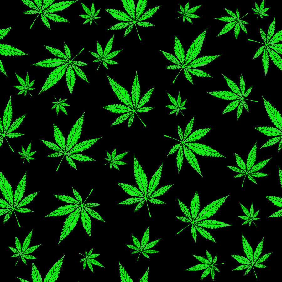 Detail Pics Of Weed Leaves Nomer 28