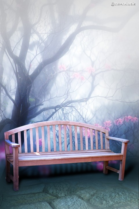 Detail Picsart Chair Background Nomer 12