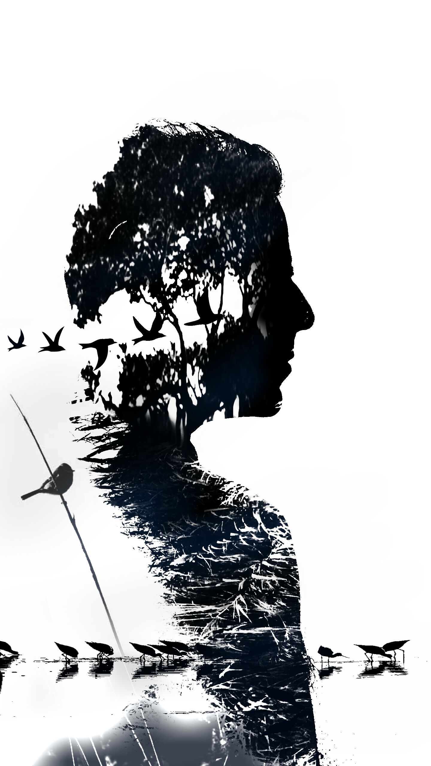 Detail Picsart Silhouette Nomer 23