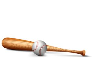 Detail Picture Of A Baseball Bat And Ball Nomer 27