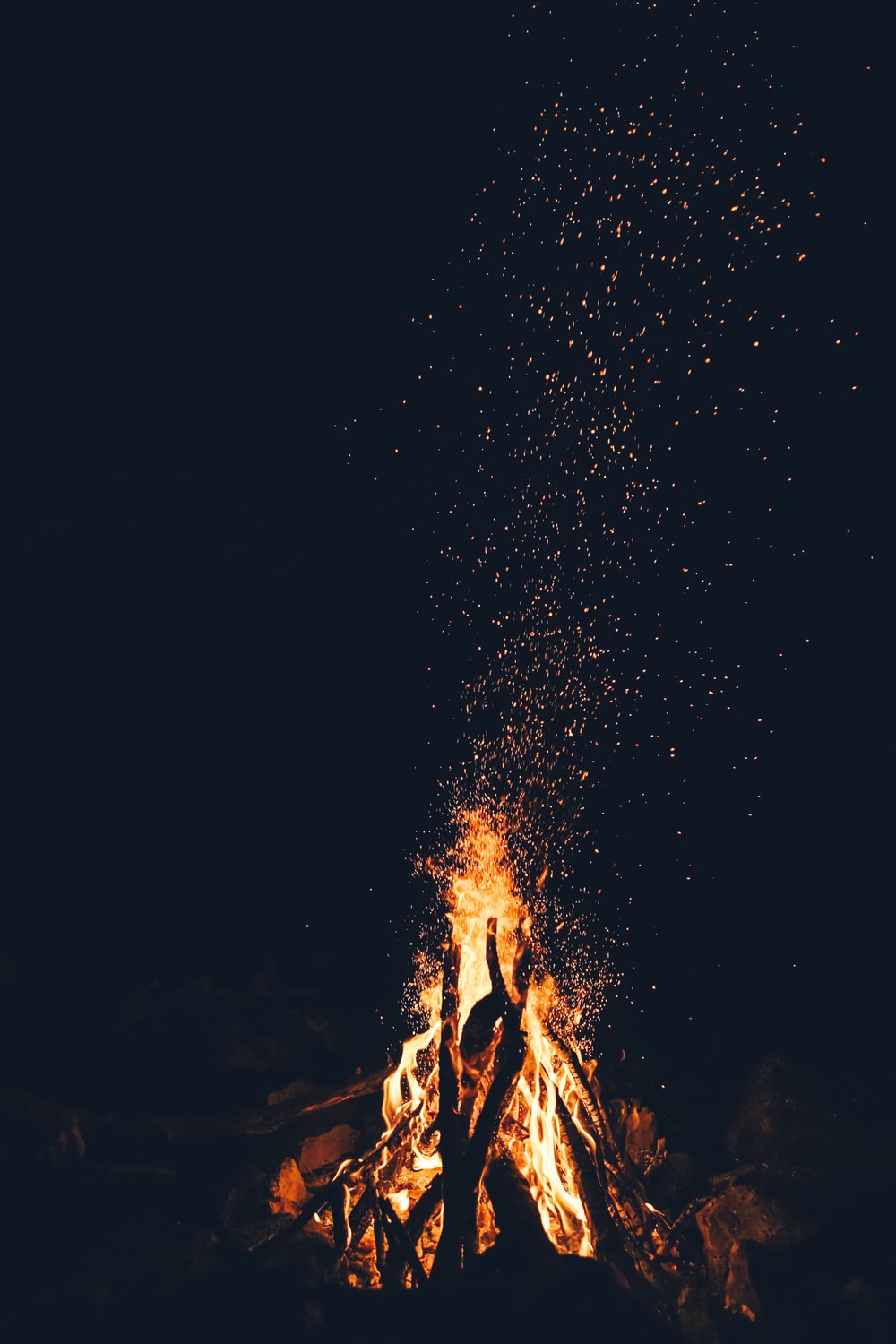 Detail Picture Of A Bonfire Nomer 17