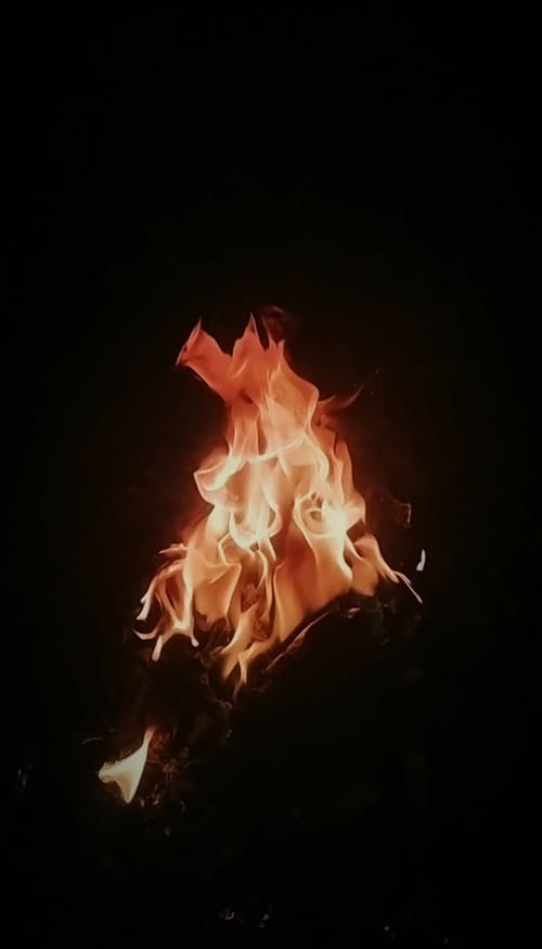 Detail Picture Of A Bonfire Nomer 54