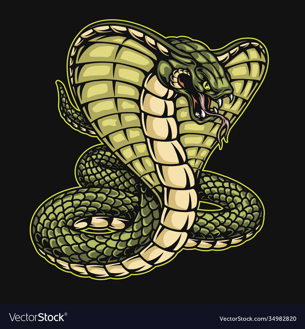 Download Picture Of A Cobra Snake Nomer 43