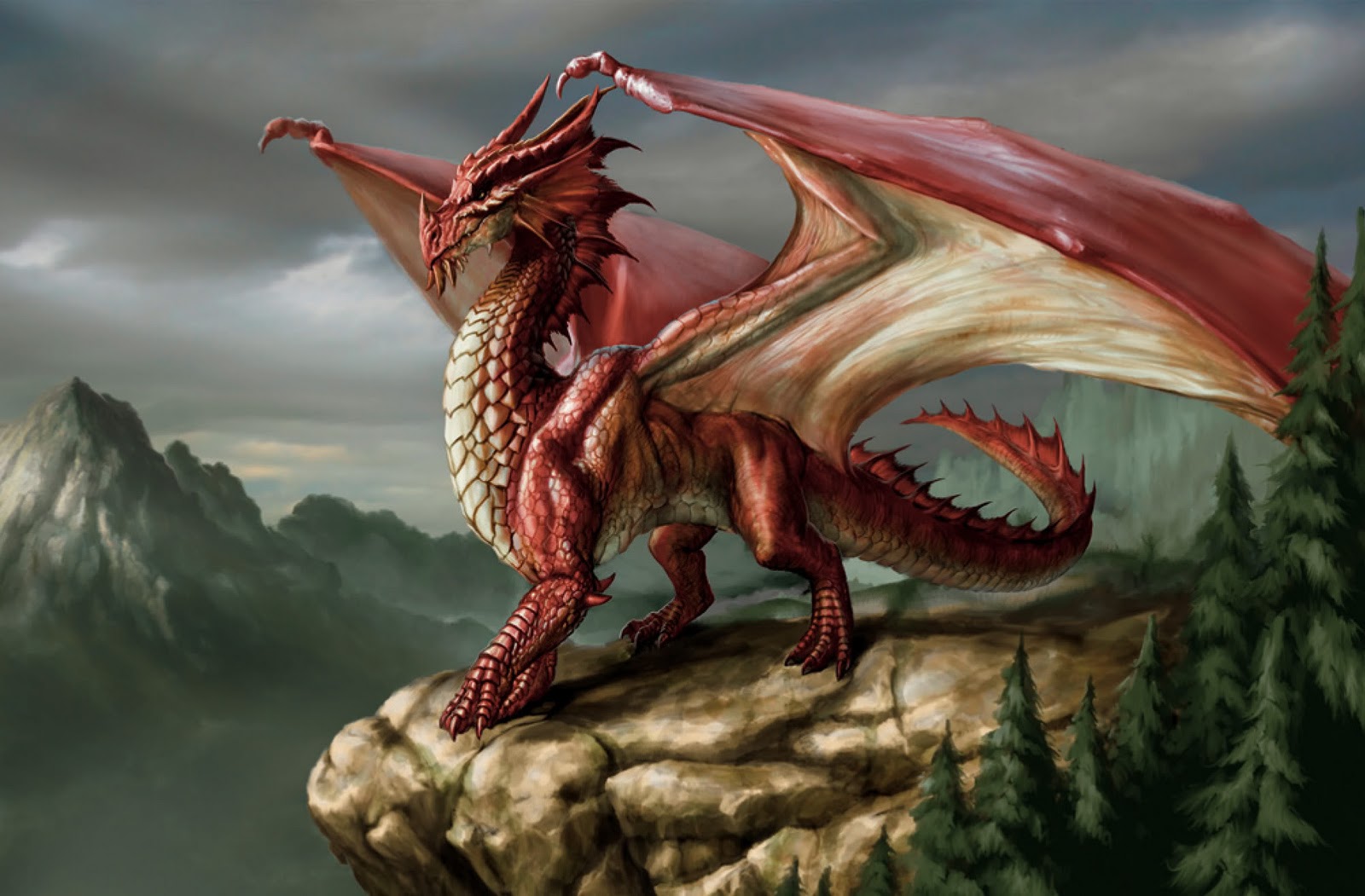 Detail Picture Of A Dragon Nomer 4