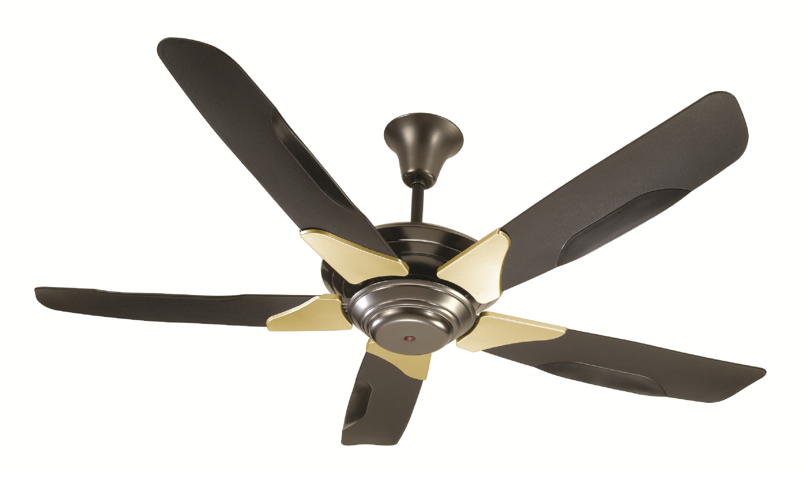 Detail Picture Of A Fan Nomer 12