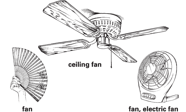 Detail Picture Of A Fan Nomer 33