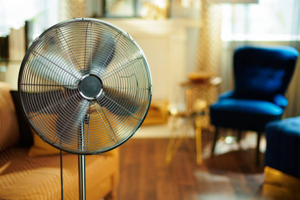 Detail Picture Of A Fan Nomer 8