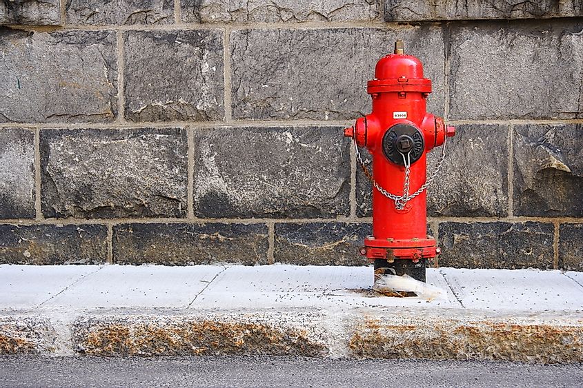 Detail Picture Of A Fire Hydrant Nomer 17