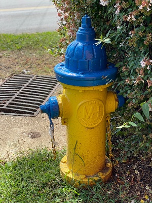 Detail Picture Of A Fire Hydrant Nomer 40