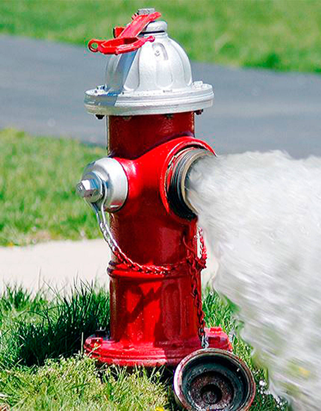 Detail Picture Of A Fire Hydrant Nomer 10