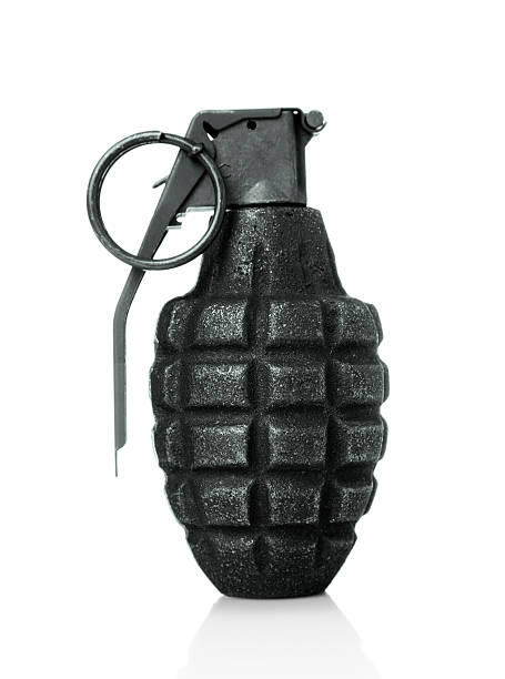 Detail Picture Of A Grenade Nomer 3